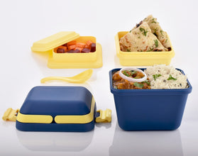 Airtight lunch box with handle and secure push lock